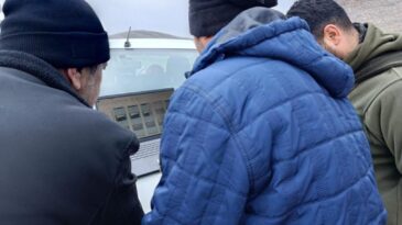 Hatay’da Yaban Hayatının Olağanüstü Birlikteliği Fotokapanlarla Kayıt Altına Alındı