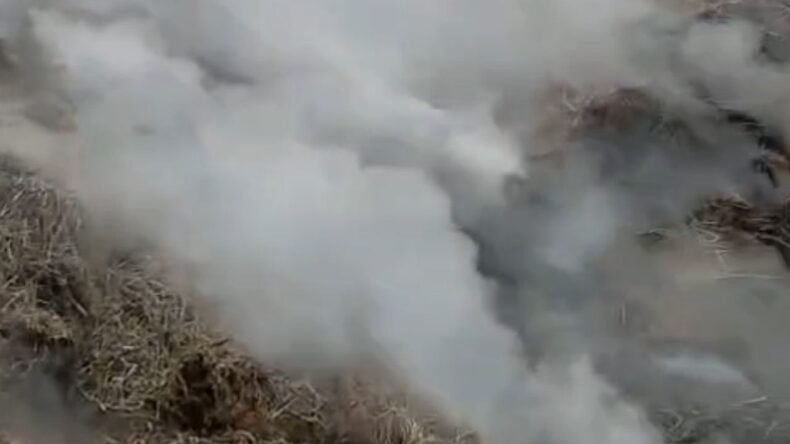 Adana’da Samanlık Yangını Kontrol Altına Alındı