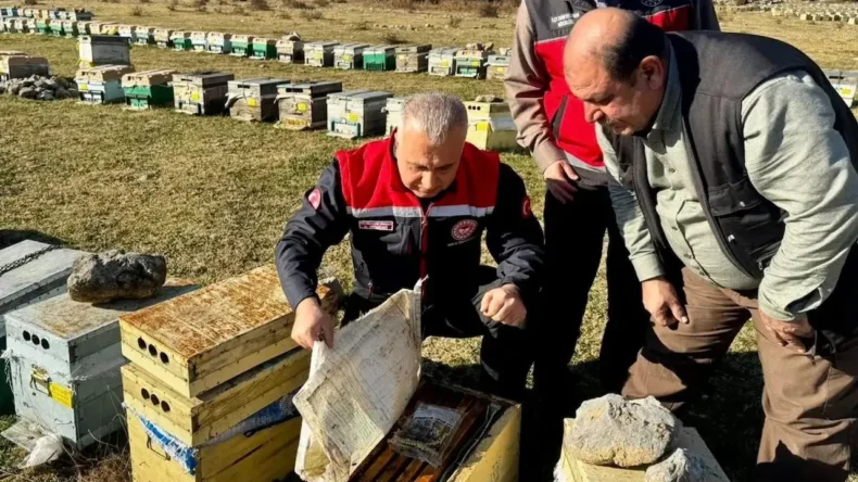 Hatay’da Arıcılık Ne Durumda? İl Tarım Müdürü’nden Yakın Takip