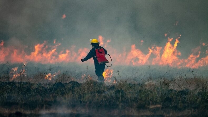 Arjantin Patagonya’da Orman Yangınları: 12 Bin Hektar Kül Oldu