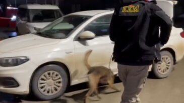 Binlerce Uyuşturucu Hap Ele Geçirildi: 3 Kişi Tutuklandı