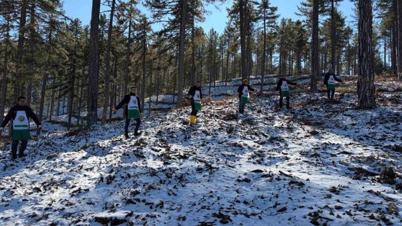 Saimbeyli’de Orman Geleceğe Hazırlanıyor