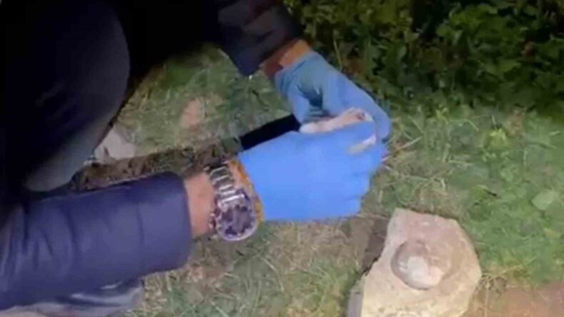 Polis, Taşın Altında Gizlenmiş Uyuşturucuya El Koydu