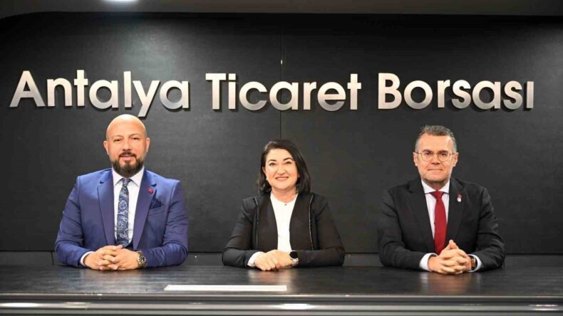 Türkiye Tohumda İthalatçı Değil İhracatçı Ülke Konumuna Yükseldi