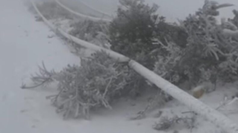 Yayladağı’nda Kış Kabusu: Şenköy Günlerdir Elektriksiz