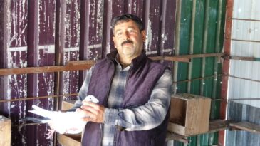 Kuzeninin Verdiği Bir Güvercinle Başlayan Tutku 45 Yıldır Sürüyor