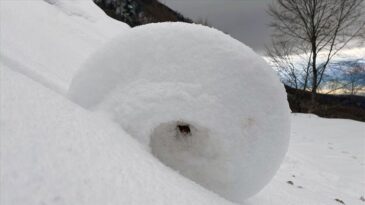 Amasya’da Doğada Ender Görülen Kar Ruloları Görüntülendi