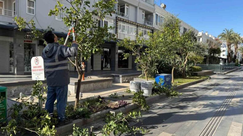 Büyükşehir’den Kemer’de Peyzaj Düzenlemesi