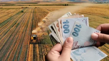 Tarım Arazileri İçin Büyük Teşvik: Hataylı Üreticiye Hibe Fırsatı!