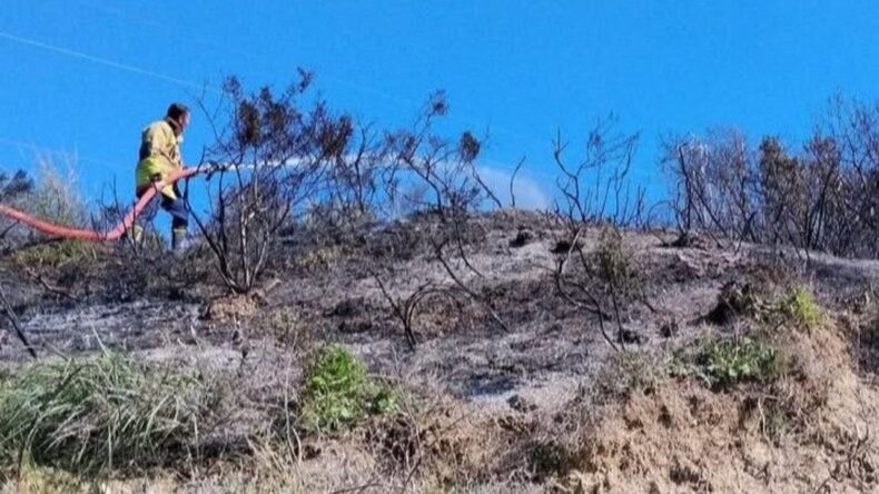 Defne’de Bahçe Yangını: Alevler Yükseldi