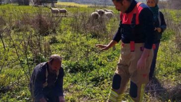 Defne’de Kuyuya Düşen Kuzuyu İtfaiye Kurtardı