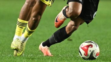 Fenerbahçe, Kupada Gaziantep Deplasmanında