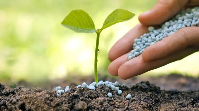 Savaş Fiyatları Uçurdu: İşte Gübre Vergisindeki Son Durum