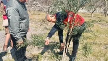 Hataylı Çiftçilere Tarlada Uygulamalı Eğitim