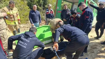 Hatay’da İlginç Olay: Tüm Türkiye Öldü Dedi, O “Ben Hayattayım” Dedi
