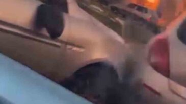 Kaza Sonrası Çocukların Çığlıklarına Rağmen Kavga Eden Yetişkinler