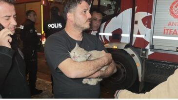 Korkutan Yangında Mahsur Kalan Kedi İtfaiye Tarafından Kurtarıldı