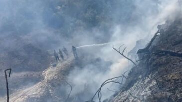 Samandağ’da Bahçede Çıkan Yangın Büyümeden Söndürüldü