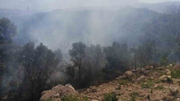 Samandağ’da Orman Yangını Kontrol Altına Alındı