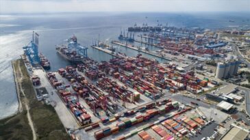 Türkiye’nin İhracatı Şubatta Yüzde 1,6 Artış Gösterdi
