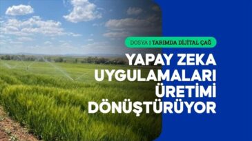 Yapay Zeka Tarımda Yatırım Kararlarını Şekillendiriyor