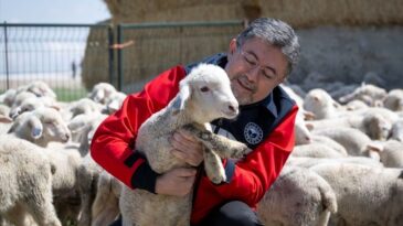 Tarım Bakanı Yumaklı, Kırsalda Bereket Küçükbaşa Destek Projesi’ni duyurdu