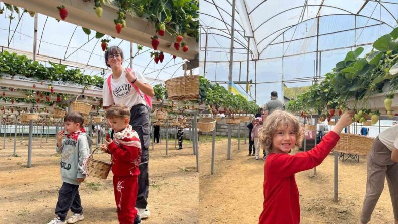 ALKÜ’lü minikler fidan dikip çilek topladı