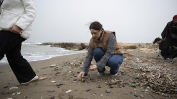 Mersin’de Biyoçeşitlilik Etkinliği