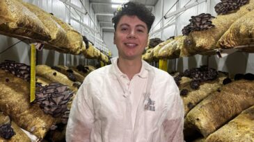 Avukat Salih Günaydın Mantar Tesisi Kurdu