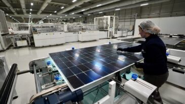 Enerji Krizleri Yenilenebilir Sektörde İstihdam Modelini Zorunlu Kılıyor