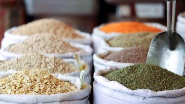 Güneydoğu Anadolu’dan 871 Milyon Dolar Hububat İhracatı