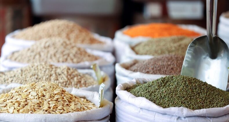 Güneydoğu Anadolu’dan 871 Milyon Dolar Hububat İhracatı