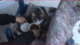 Zeytin’in Umut Yolculuğu: Su Kanalından Konteynere