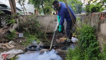 Antalya Büyükşehir Belediyesi’nden Sinek Mücadelesi