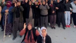 Mersin’de Narenciye Bahçelerinin Kaldırılmasına Tepki