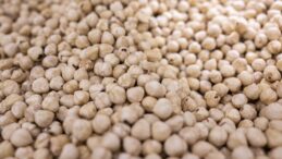 Doğu Karadeniz’den Yılın İlk Çeyreğinde 379 Milyon Dolarlık Fındık İhracatı