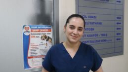 Adana’da Kafatası Delik Kedi Titanyum Ağ ile Tedavi Edildi