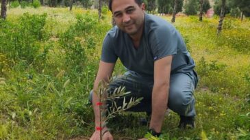 Mut’ta hastane bahçesine 150 zeytin fidanı dikildi