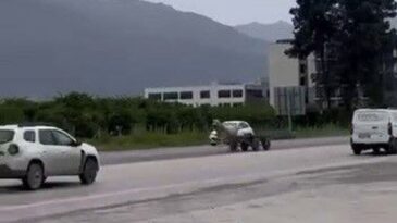 Kaçak At E-5 Karayolu’nda Trafiği Tehdit Etti