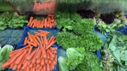 Irak, Türkiye’nin Yaş Meyve Sebze İhracatında İlk Sırada