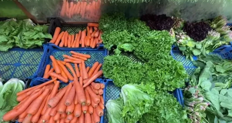 Irak, Türkiye’nin Yaş Meyve Sebze İhracatında İlk Sırada