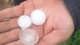 Dolu Felaketi Tarım Arazilerini Vurdu: Çiftçiler Çağrı Yapıyor!