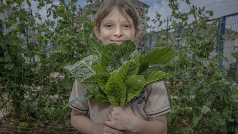 Çocuklar ekolojik bahçede toprağa dokunarak öğreniyor
