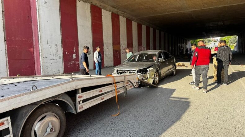 Otomobilin çarptığı 17 koyun telef oldu