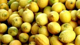 Türkiye’nin Turunçgil İhracatı Irak ve Rusya’ya Yöneldi