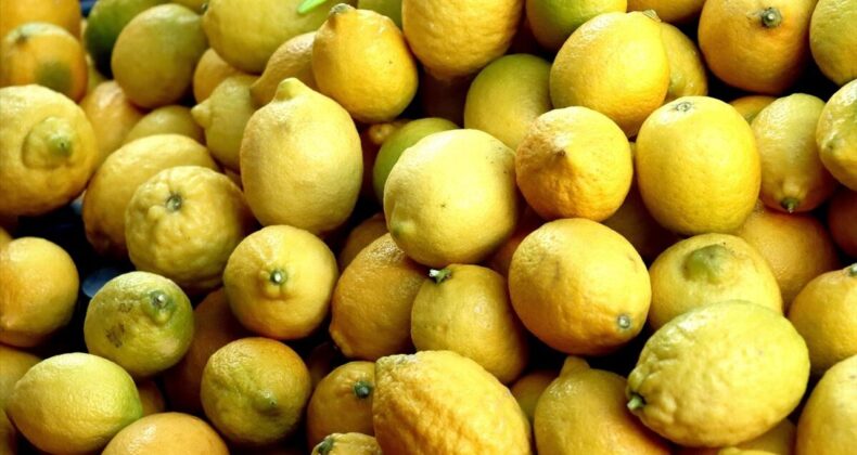 Türkiye’nin Turunçgil İhracatı Irak ve Rusya’ya Yöneldi