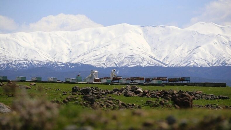 Bingöl’ün Kuzeyinde Kış, Güneyinde Bahar Yaşanıyor