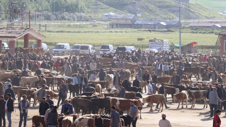 2026 Kurbanlık Fiyatları Açıklandı