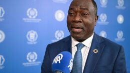 BM Koordinatörü Ahonsi, Çok Taraflı Sistemde Türkiye’nin Rolünü Vurguladı