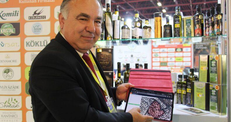 Ayvalık Zeytinyağı İçin Ürün Kimliği Oluşturuluyor